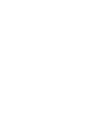 政策